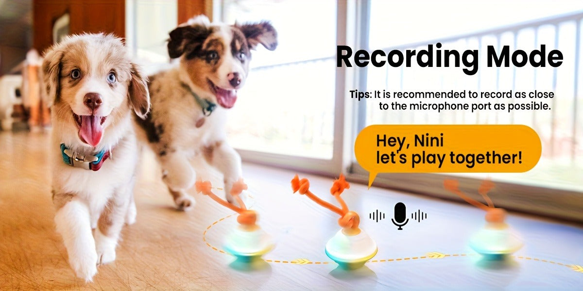 Automatic Rolling Dog Ball Toy with Rope - Motion-Activated Wicked Ball with Voice Recording, Interactive Self-Moving Stimulation Toy for Small Medium Dogs, Relieves Boredom & Anxiety