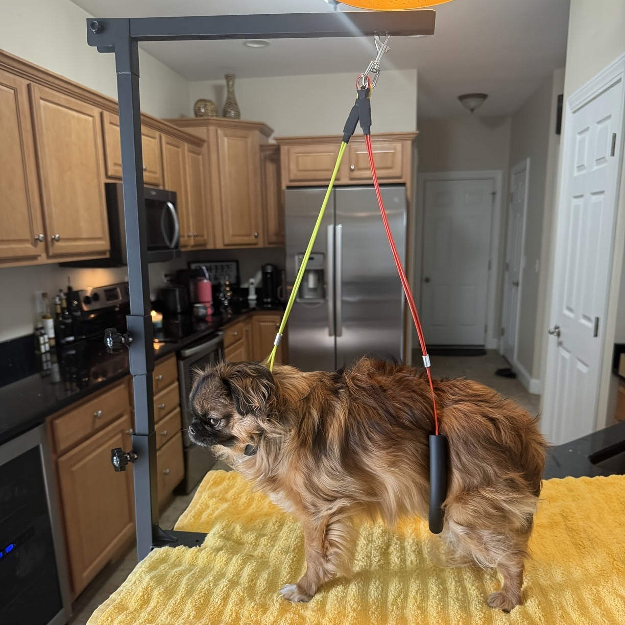 Dog Grooming Arm with Clamp 36 Inch Adjustable 3-Section Iron No-Sit Haunch Holder with Colorful Ropes for Small Medium Dogs Cats Black