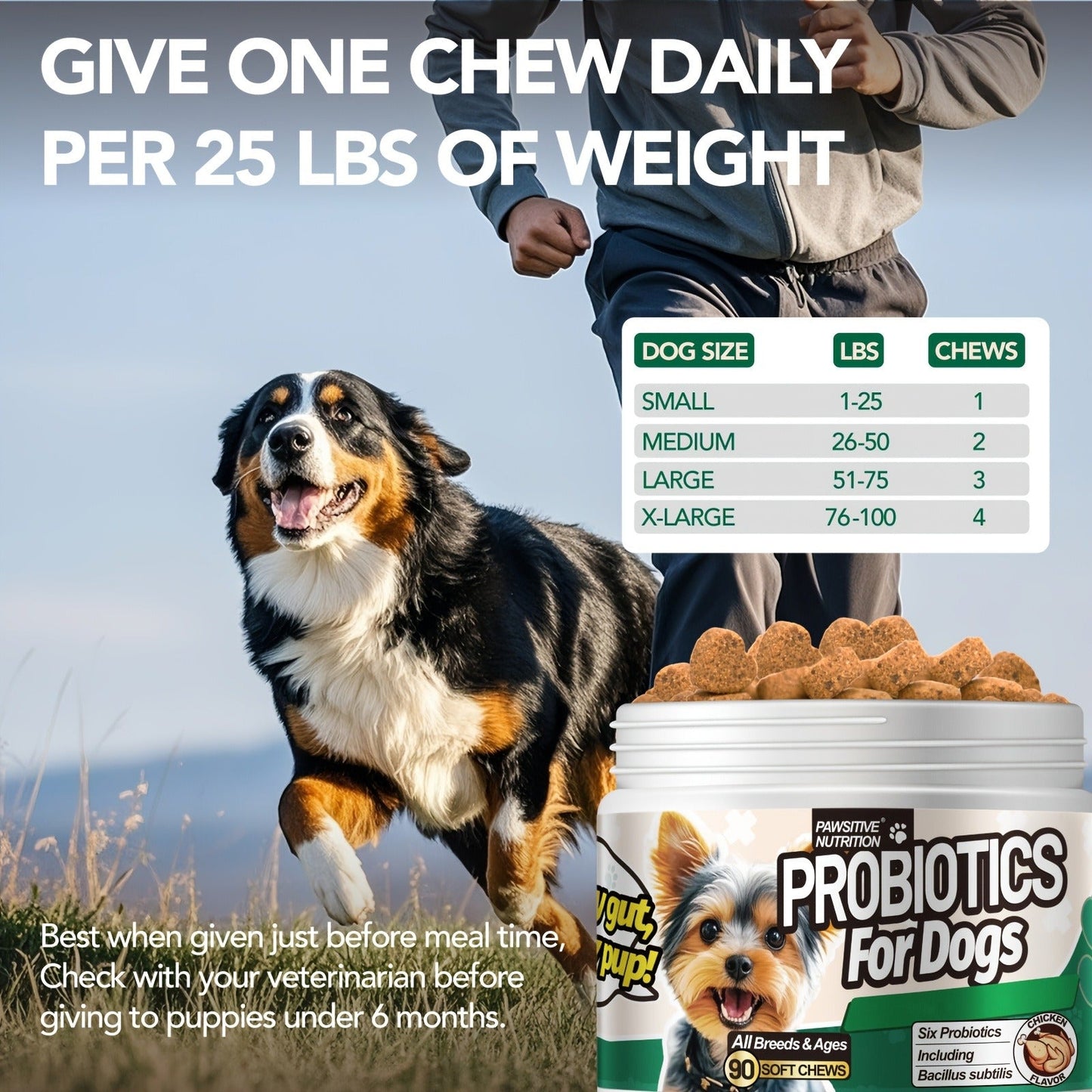 Dog Probiotic Supplement 6 Billion CFU with Prebiotic - 90 Chicken Flavor Chews for Itching Skin Relief, Digestive & Immune Health, All-in-One Canine Nutritional Supplement for All Breeds