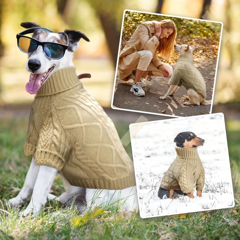 Dog Sweater Turtleneck Warm Knit Pullover with Soft Long Sleeves for Small Medium Breeds, All-Season Machine Washable Pet Sweater for Chihuahuas Bulldogs Dachshunds, Sizes XS S M L XL, Pink Violet Light Purple Light Green Greenish Yellow