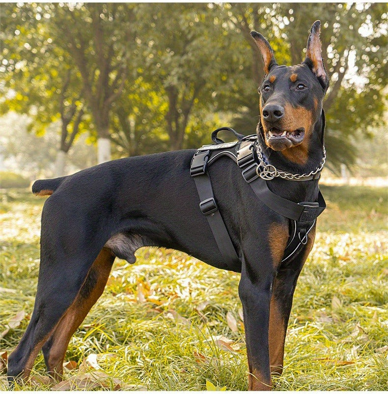 Reflective No-Pull Dog Harness with Patches – Adjustable Soft Mesh Vest Harness for Small, Medium & Large Dogs | S, M, L, XL