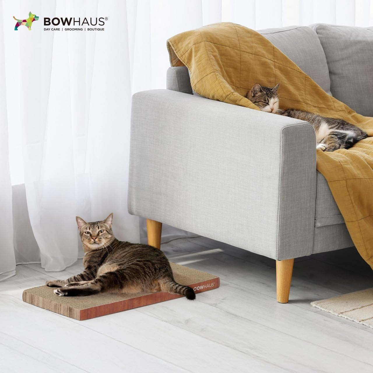 Cat Scratcher Lounger Reversible - Large Cardboard Cat Scratching Pad & Board for Indoor Cats, 5-Layer Durable Construction, Double-Sided Scratch Surface, Furniture Protector, Basic 8pcs & Curved 1pc