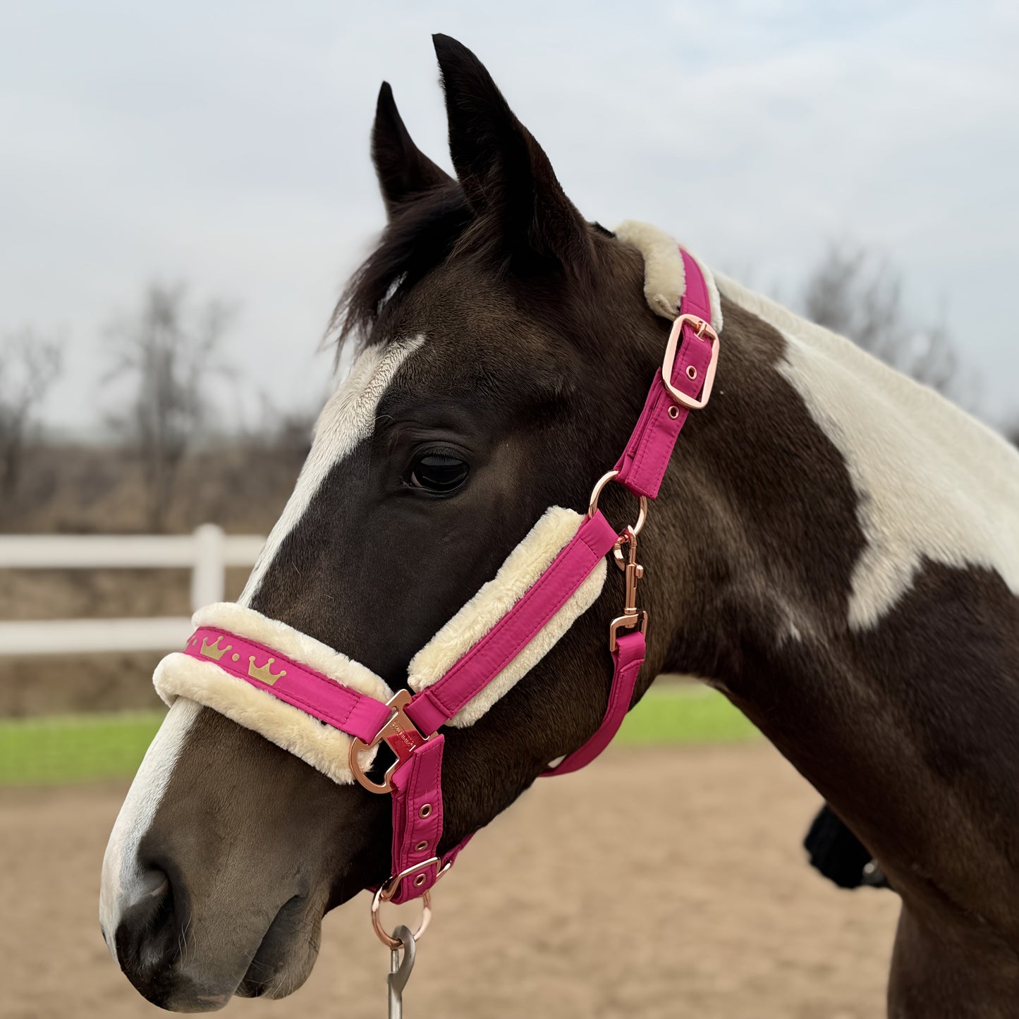 Horse Halter with Detachable Faux Fur Band & Glossy Buckle – Adjustable Head Collar for Horses, Available in 15 Colors & 3 Sizes FULL COB PONY