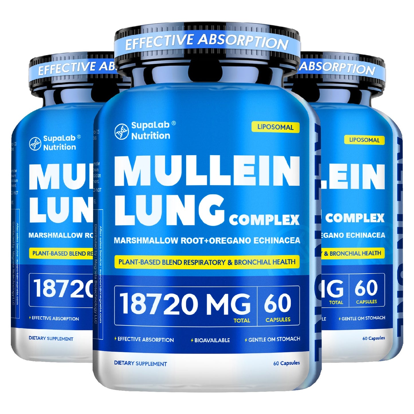 Mullein Leaf Capsules 12000mg with Quercetin — Lung Health & Respiratory Support | Bronchial Breathing Ease, Immune Defense & Seasonal Allergy Comfort | Natural Herbal Formula | 60 Capsules