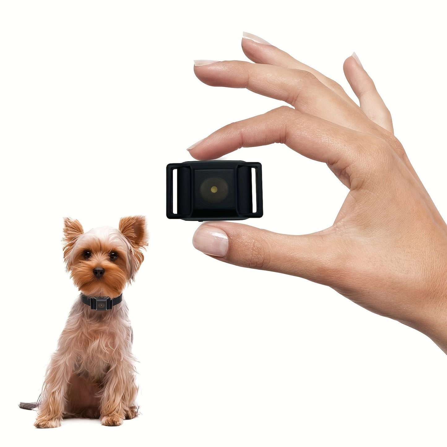 No Shock Bark Collar for Small Dogs 5-15 lbs - Ultra Tiny 1.6x1in 0.42oz Rechargeable Vibration & Sound Anti Bark Collar with 5 Sensitivity Levels Extra Small Breeds