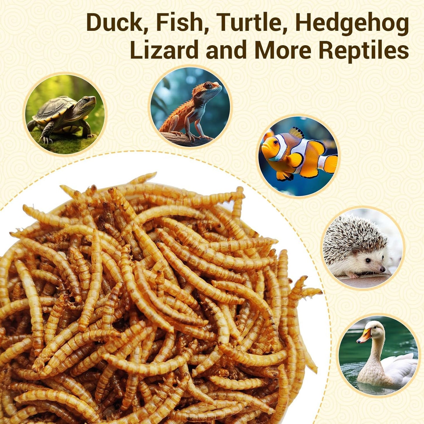 Dried Mealworms High Protein Animal Feed – Natural Insect Treats for Chickens Wild Birds Hens Ducks Turtles Fish Lizards Hamsters, Non-GMO Dried Larvae Pet Food Supplement, 0.6LB to 44LB