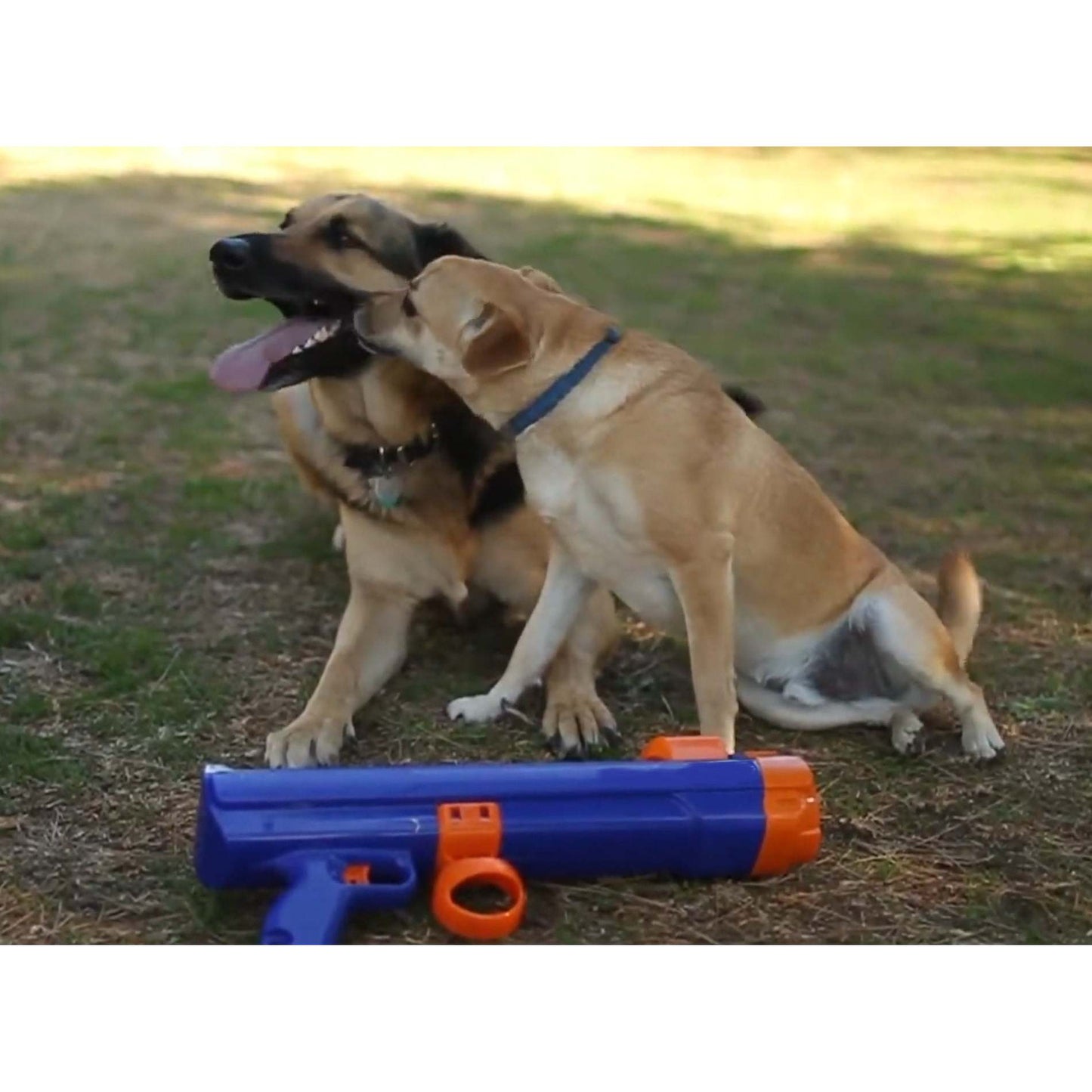 Dog Tennis Ball Launcher Bundle – 18-Inch Fetch Blaster with 3 Balls, Attachment Canister & String Backpack for On-the-Go Play