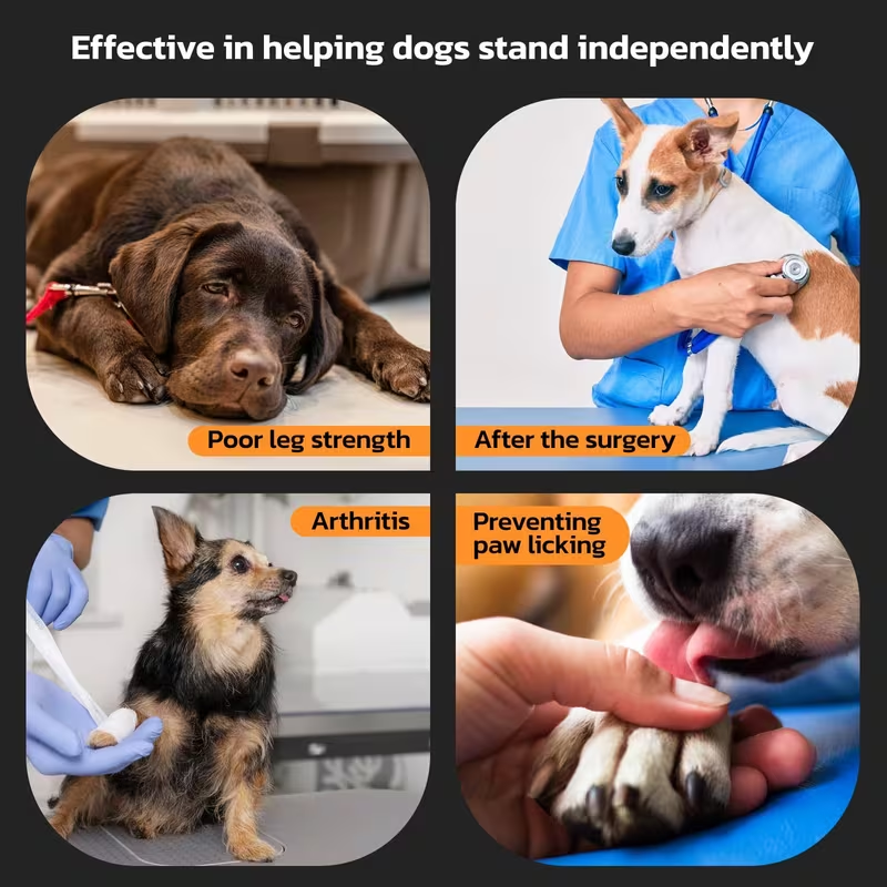 Dog Paw Pads Anti-Slip Sticker Protector 12 Sets 48pcs – Traction Grip Paw Stickers for Senior Dogs on Hardwood Floors, Cuttable Hook & Loop Adhesive Paw Grips, Sizes L to 3XL