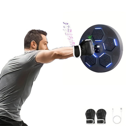 Wall-Mounted Musical Boxing Training Target – Smart Punch Machine with Music & USB-C Charging | Ordinary / Upgrade / Premium