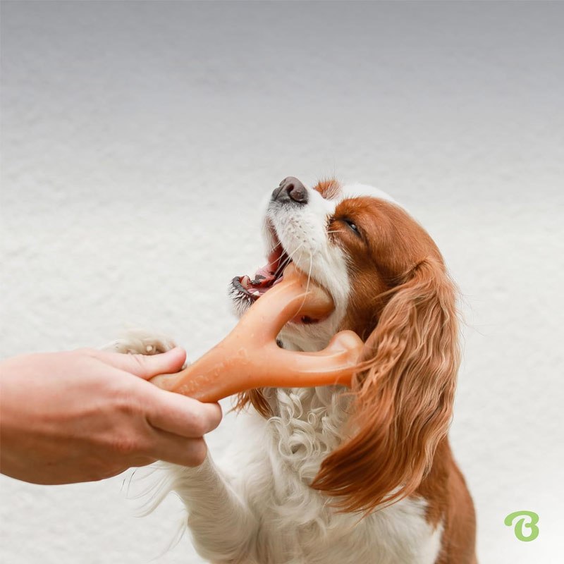 Dog Chew Toy Bacon Flavor Teeth Cleaning Bone - Durable Interactive Chew Stick for Aggressive Chewers, Dental Cleaning Toy for Dogs & Cats, Long-Lasting Flavored Pet Chew Bone