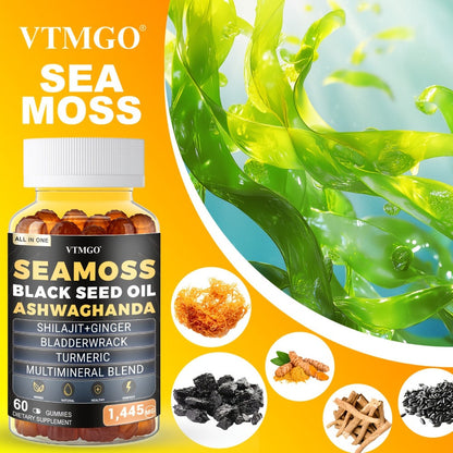 Sea Moss Gummies 1445mg with Shilajit Black Seed Oil Ashwagandha Elderberry Chlorophyll Turmeric Bladderwrack Ginger — 8-in-1 Antioxidant Superfood Supplement for Immunity Energy Gut Health & Wellness 60 Count