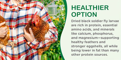 Non-GMO Dried Black Soldier Fly Larvae 5LB & 10LB - 85X More Calcium Than Mealworms, High Protein BSFL Treats for Chickens, Ducks, Wild Birds & Turtles
