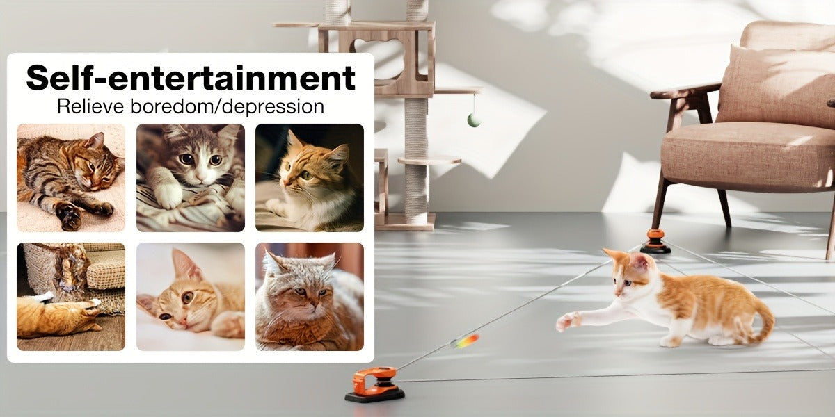 Interactive Cat Toy Auto & Remote Control - Electric Feather Mouse Lure Coursing Machine with DIY Track, Mouse Sounds, Auto Timer, Boredom Buster for Indoor Cats Kittens, 2 Speed Modes