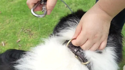Stainless Steel Dog Leash Reflective Rust-Resistant Heavy Duty Cable Tie-Out for Medium Large Dogs Outdoor Yard Camping 3XL 4XL Multiple Lengths Silvery Grey