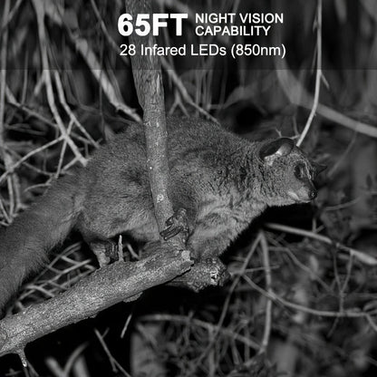 Trail Camera 48MP 4K Night Vision 0.2s Trigger 120 Degree Solar