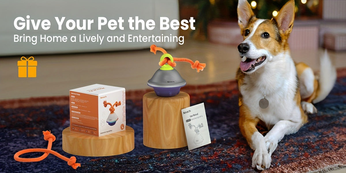 Automatic Rolling Dog Ball Toy with Rope - Motion-Activated Wicked Ball with Voice Recording, Interactive Self-Moving Stimulation Toy for Small Medium Dogs, Relieves Boredom & Anxiety