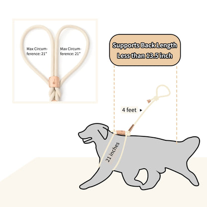 Dog Slip Leash and Harness 2-in-1 Rope Lead - No Pull All-in-One Training Leash for Puppies & Small Dogs, Adjustable Slip Lead with Soft Rope, Secure Control for Walking & Training