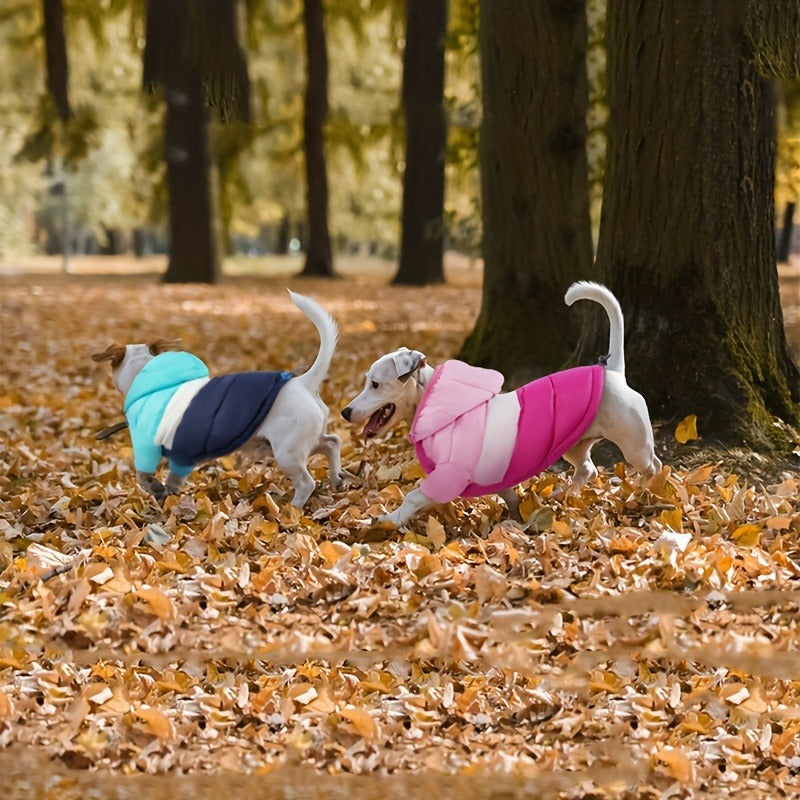 Dog Winter Coat Puffer Jacket Windproof Warm Padded Snow Vest for Small Breeds, Lightweight Outdoor Dog Clothes for Chihuahua Poodle Yorkshire Terrier, Sizes L XL XXL, Orange Blue Pink