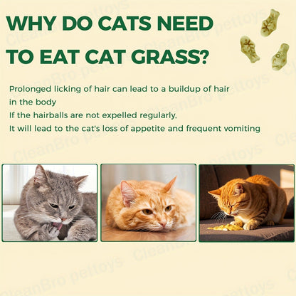 Catnip Cat Treats 150g – Catnip Cookie & Catgrass Molar Stick, Dried Fish Snack for Cats, Teeth Cleaning Dental Chew, Hairball Control Nutrition Fattening Cat Snack