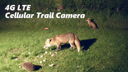 4G Cellular Game Camera Solar Powered - 2K Live View, 0.02s Motion Trigger, Night Vision, No WiFi Needed for Hunting & Wildlife