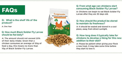 Non-GMO Dried Black Soldier Fly Larvae 5LB & 10LB - 85X More Calcium Than Mealworms, High Protein BSFL Treats for Chickens, Ducks, Wild Birds & Turtles