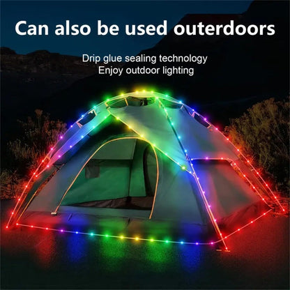 RGB Smart Fairy String Lights with App & Remote Control, Music Sync, IP65 Waterproof, USB Powered Multicolor LED String Lights for Bedroom, Outdoor, Christmas, Party, Wedding Decoration