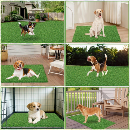 Dog Potty Training Grass Mat - 2 Pack Washable Artificial Turf Pad with Odor Control & Drainage, Reusable Indoor Outdoor Pet Pee Mat for Puppies & Adult Dogs
