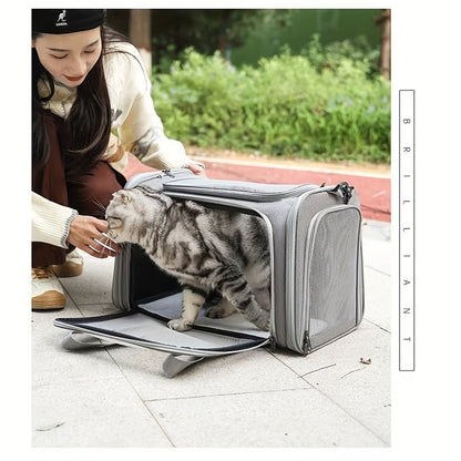 Large Soft-Sided Pet Crate & Travel Cage for Cats & Puppies Up to 25 lbs - Foldable Waterproof Portable Dog Cat Kennel Playpen, Lightweight Collapsible Pet Enclosure for Home & Travel, Grey & Black