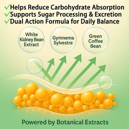 Carb & Sugar Blocker Supplement with White Kidney Bean Extract, Gymnema Sylvestre, Mulberry Leaf & L-Carnitine — Blood Sugar Balance & Weight Management Support, 60 Capsules for Women & Men
