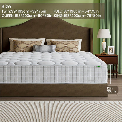 Mattress shown in the Twin, 12 Inches option