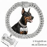 silvery collar + custom pet tag