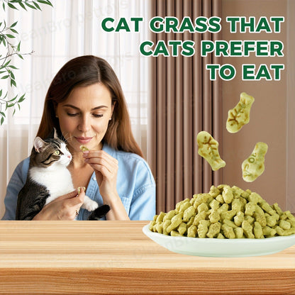 Catnip Cat Treats 150g – Catnip Cookie & Catgrass Molar Stick, Dried Fish Snack for Cats, Teeth Cleaning Dental Chew, Hairball Control Nutrition Fattening Cat Snack