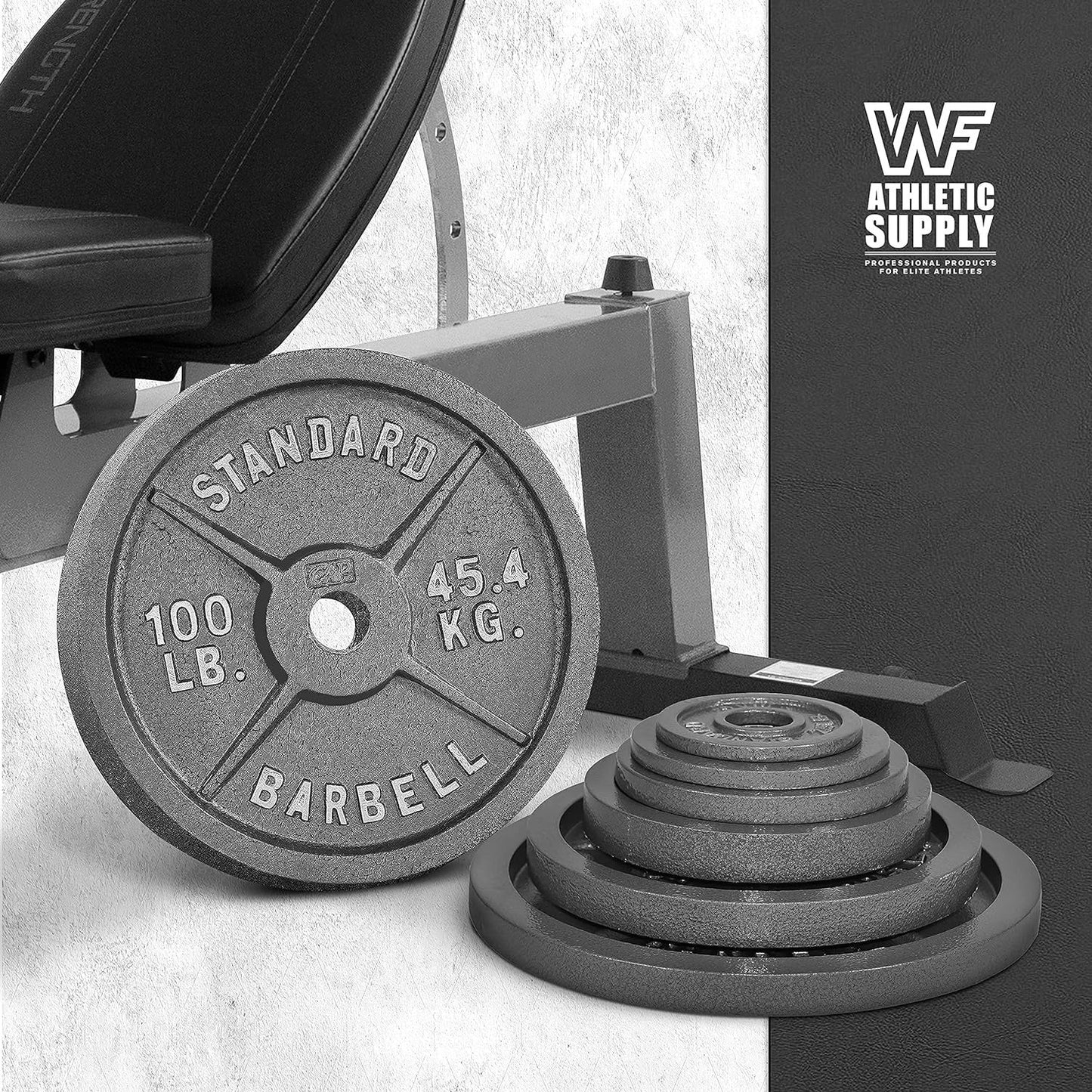 Cast Iron Weight Plates 2-Inch Standard Barbell Plates Solid Iron Gym Weights for Strength Training Weightlifting Bodybuilding Powerlifting Home Gym Multiple Sizes 2.5LB to 100LB