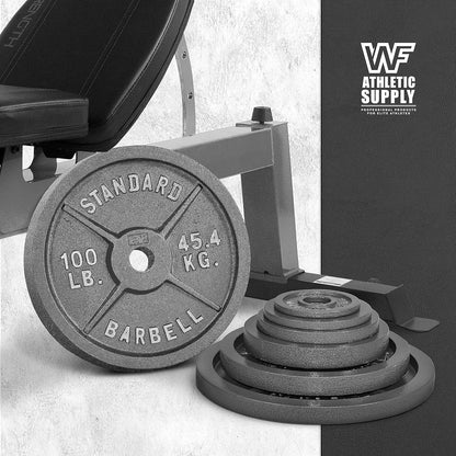 Cast Iron Weight Plates 2-Inch Standard Barbell Plates Solid Iron Gym Weights for Strength Training Weightlifting Bodybuilding Powerlifting Home Gym Multiple Sizes 2.5LB to 100LB