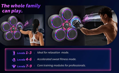 Wall Mounted Smart Boxing Machine Wireless Music Punching Trainer