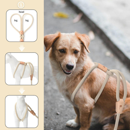 Dog Slip Leash and Harness 2-in-1 Rope Lead - No Pull All-in-One Training Leash for Puppies & Small Dogs, Adjustable Slip Lead with Soft Rope, Secure Control for Walking & Training