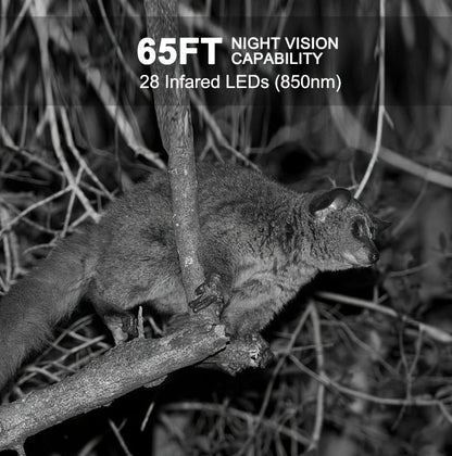 Trail Camera 48MP 4K Night Vision 0.2s Trigger 120 Degree Solar