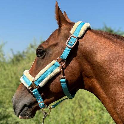 Horse Halter with Detachable Faux Fur Band & Glossy Buckle – Adjustable Head Collar for Horses, Available in 15 Colors & 3 Sizes FULL COB PONY