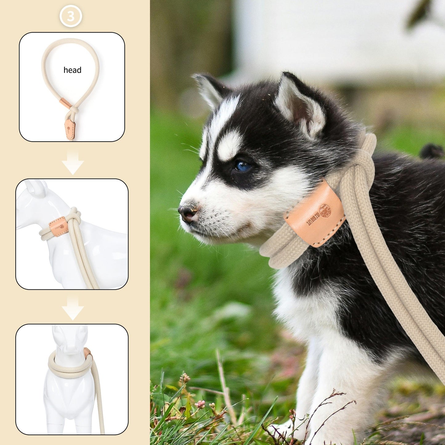 Dog Slip Leash and Harness 2-in-1 Rope Lead - No Pull All-in-One Training Leash for Puppies & Small Dogs, Adjustable Slip Lead with Soft Rope, Secure Control for Walking & Training