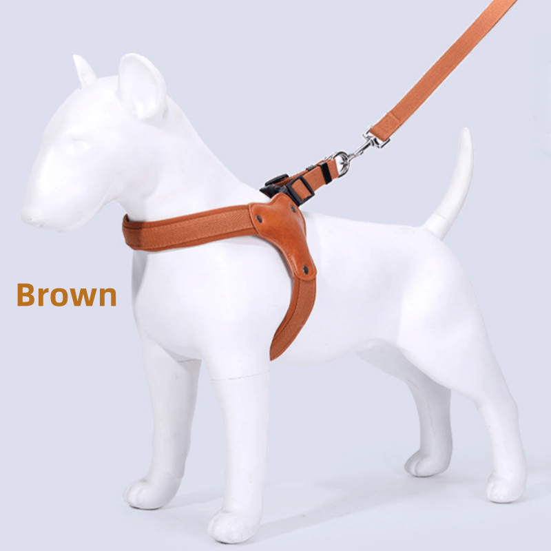Dog Leash & Harness Set – Outdoor Safety Leash for Large Medium Small Dogs, M/L/XL, Brown Black Red