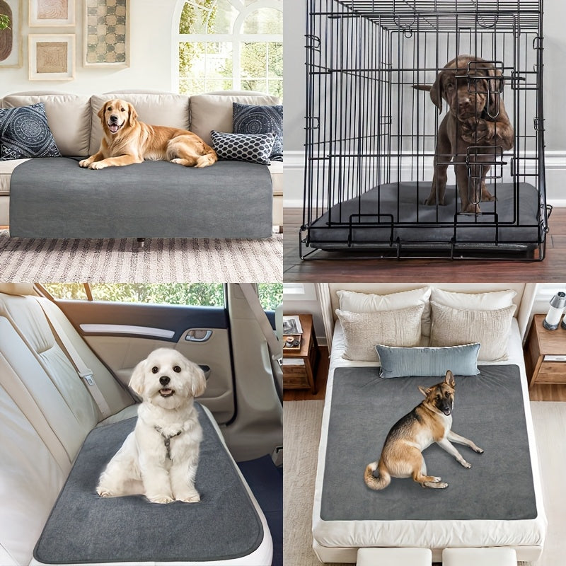 Washable Dog Pee Pads Reusable 2-Pack - Non-Slip 4-Layer Fast Absorbent Puppy Mat for Housebreaking, Whelping, Crate & Incontinence - Machine Washable 300+ Times, Multiple Sizes for All Breeds