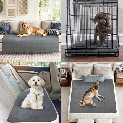 Washable Dog Pee Pads Reusable 2-Pack - Non-Slip 4-Layer Fast Absorbent Puppy Mat for Housebreaking, Whelping, Crate & Incontinence - Machine Washable 300+ Times, Multiple Sizes for All Breeds