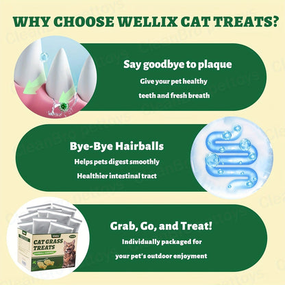 Catnip Cat Treats 150g – Catnip Cookie & Catgrass Molar Stick, Dried Fish Snack for Cats, Teeth Cleaning Dental Chew, Hairball Control Nutrition Fattening Cat Snack