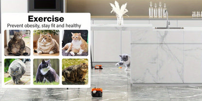 Interactive Cat Toy Auto & Remote Control - Electric Feather Mouse Lure Coursing Machine with DIY Track, Mouse Sounds, Auto Timer, Boredom Buster for Indoor Cats Kittens, 2 Speed Modes