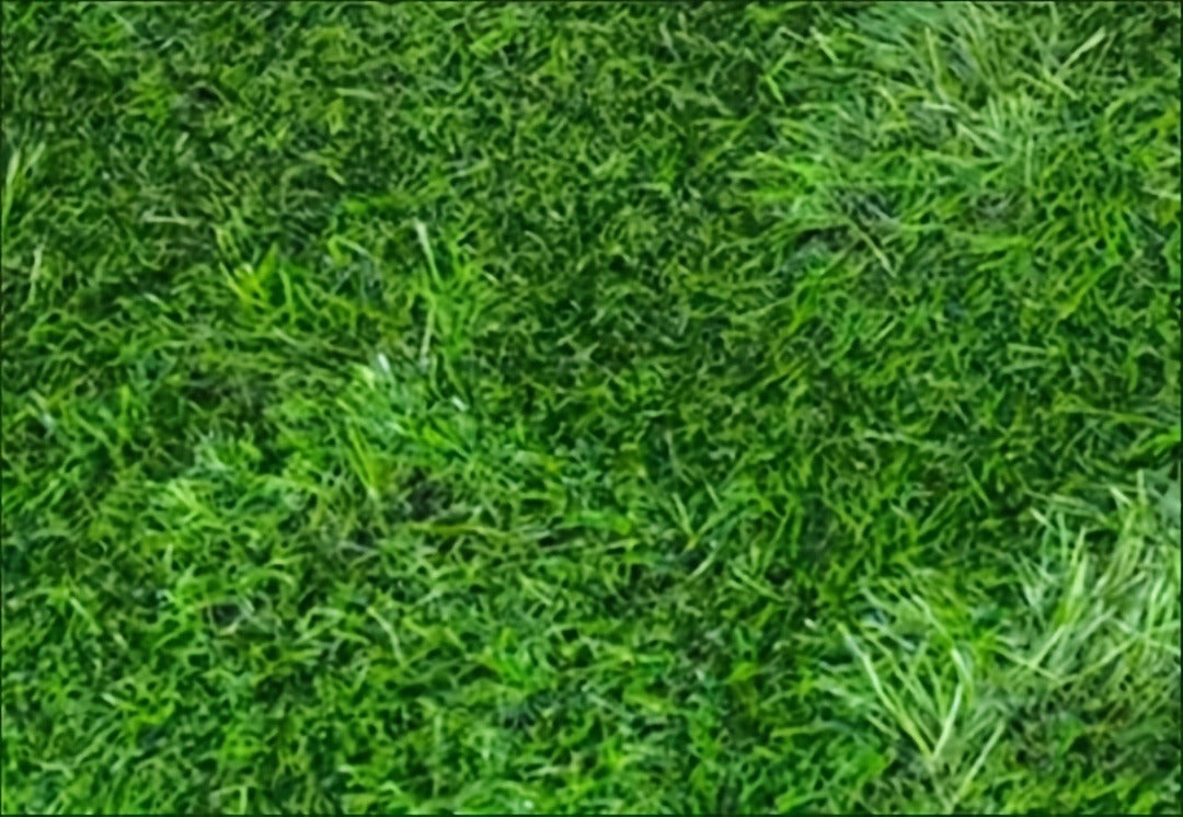 Artificial Grass Dog Potty Pad Washable Reusable - Odor-Proof Pet Training Lawn Mat for Indoor Outdoor Use, Dog Urine Grass Pad 18 x 28 Inch for Puppies & Adult Dogs
