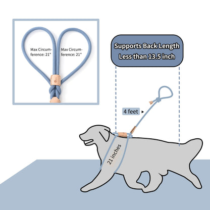 Dog Slip Leash and Harness 2-in-1 Rope Lead - No Pull All-in-One Training Leash for Puppies & Small Dogs, Adjustable Slip Lead with Soft Rope, Secure Control for Walking & Training