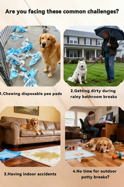 Indoor Dog Potty Tray with Removable Grating - Leak-Proof Puppy Training Toilet, Washable Pee Pad Holder for Apartments, Easy Clean Dog Bathroom, 7 Colors, Small & Large Sizes