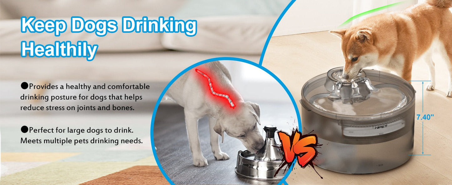 Dog Water Fountain 2 Gallon NPET DF30 - Automatic Pet Water Dispenser Triple Filtration with Splatter Guard & Cleaning Kit for Large Dogs & Multiple Pets 1.3Gal or 2Gal Options