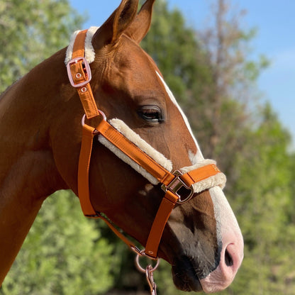 Horse Halter with Detachable Faux Fur Band & Glossy Buckle – Adjustable Head Collar for Horses, Available in 15 Colors & 3 Sizes FULL COB PONY