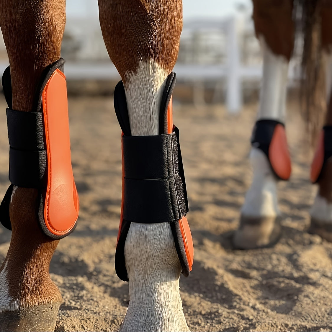 Horse Boots Set of 4 – Open Front Tendon & Fetlock Leg Protection Boots, PU Neoprene Splint Boots for Training, Racing, Riding & Jumping, Full, COB & Pony Sizes, 10 Colors
